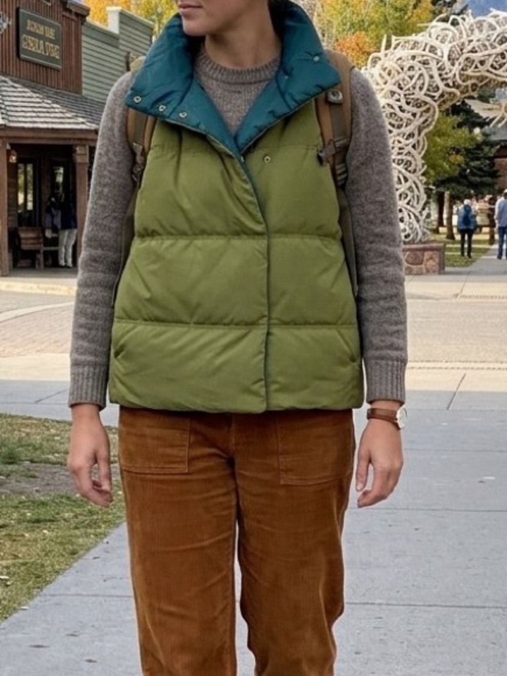 New! With Tags | Stio | Olive Green Puffer Vest with Teal Iining